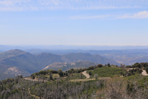 Palomar Mountain
