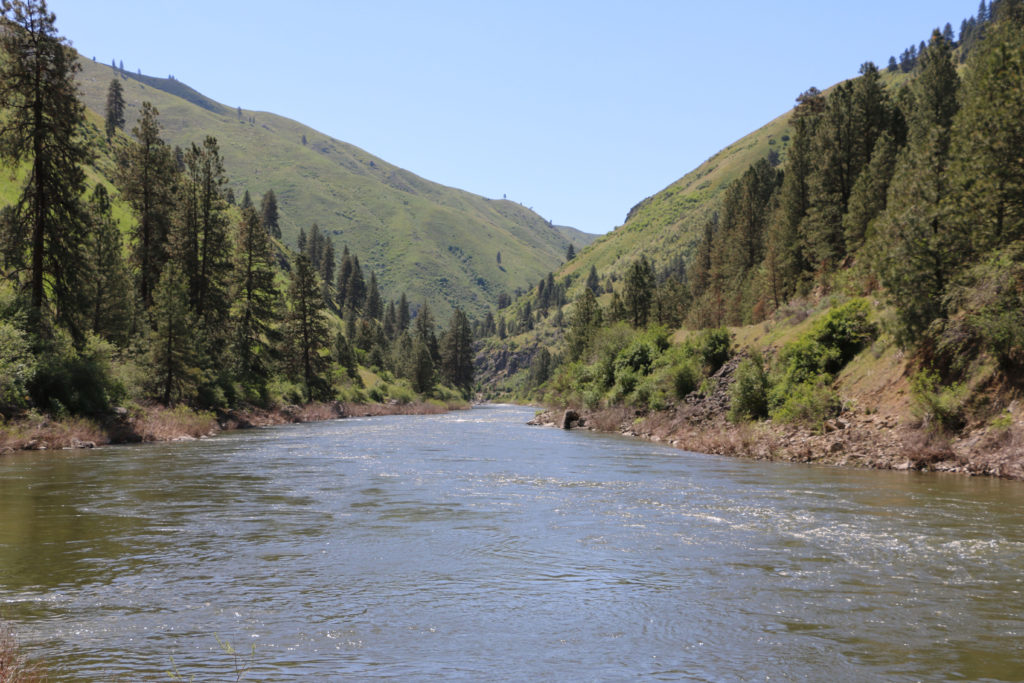 Payette River 1